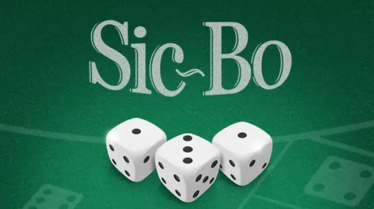 식보를 알아보자