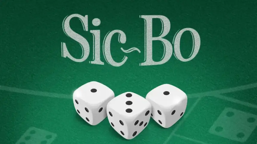 식보를 알아보자